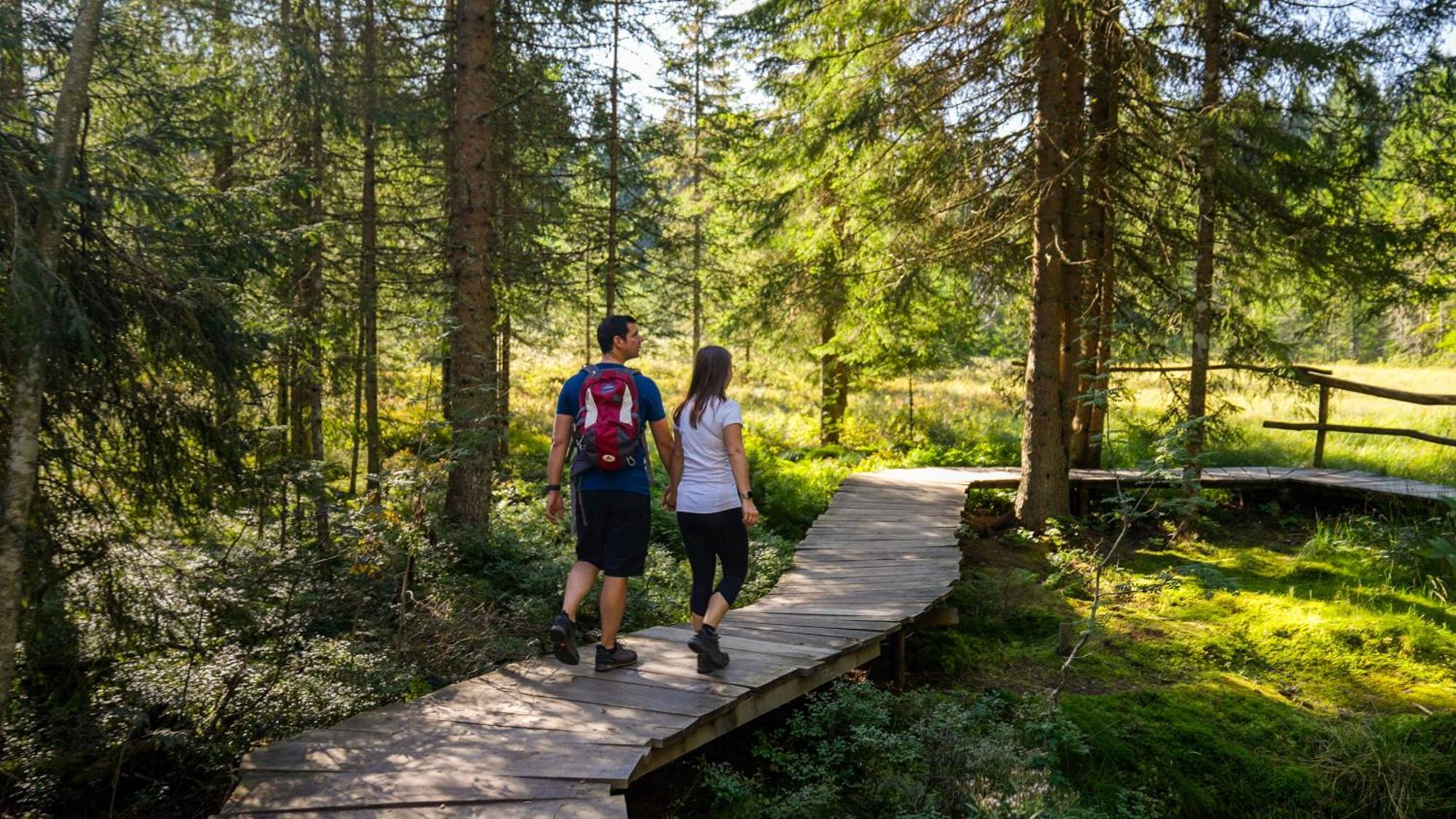 Naturparkhotel Schwarzwaldhaus Бернау-ім-Шварцвальд Екстер'єр фото